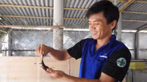 Chuyện hoàn lương của một chủ trang trại