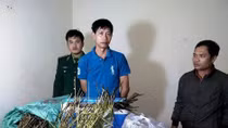 Rao bán tràn lan "rượu 138" trên mạng xã hội