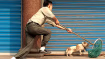 Đi trộm chó, một đối tượng bị đánh chết