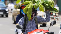 Miền Nam nắng nóng trên diện rộng