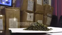 Chiến dịch chống ma tuý "khat" có nguồn gốc châu Phi