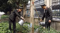 Tổ chức “Tết trồng cây đời đời nhớ ơn Bác Hồ”