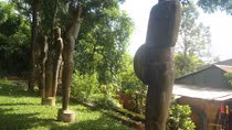 Kỳ thú Pleiku