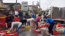Giật mình nghĩ về cách hành xử của nhiều người Việt