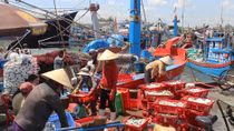 Ngư dân miền Trung vươn khơi bám biển những ngày cuối năm