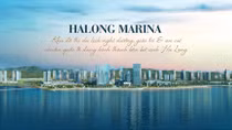 Halong Marina: Khu đô thị du lịch chuẩn quốc tế tại Hạ Long