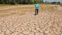 Lo ngại El Nino quay lại