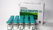 Thị trường hormone tăng trưởng bất hợp pháp trên Internet
