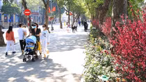 Hà Nội chiều tối mưa giông, ngày nắng