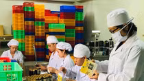“Biến” hàu, mực, cá nóc thành thực phẩm chức năng nhờ Công nghệ sinh học