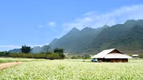 Miền Bắc có nơi trời nắng nóng 35 độ C