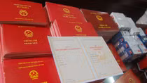 Cảnh cáo, cách chức nữ Phó phòng gian dối bằng cấp