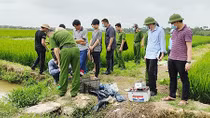 Nỗi đau thương từ những bẫy điện diệt chuột trên đồng ruộng
