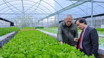 GFS tiên phong trong phát triển nông nghiệp hữu cơ công nghệ cao