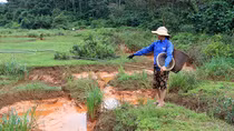 Liên quan đến sự cố tràn hồ chứa nước bùn đỏ Nhà máy Alumin Nhân Cơ