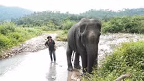Con voi cuối cùng bên bờ suối Ia Tul