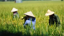 Giảm mưa, nắng nóng quay lại miền Bắc
