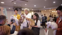 Mèo cưng “đua sắc” trong cuộc thi mèo đẹp tại Hà Nội