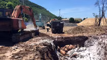 Hãi hùng phát hiện 7 tấn lợn chết đang phần hủy trên tàu