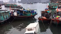 Xe tải đông lạnh mất phanh trôi tuột xuống biển tại Hạ Long