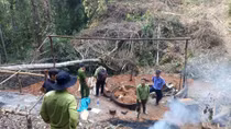 Nỗ lực ngăn chặn nạn phá rừng ở Đam Rông