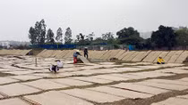 Về làng Cự Đà ngày cuối năm