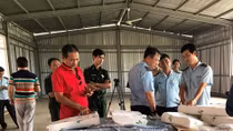 Nguy cơ cho hàng Việt từ hàng giả mạo "Made in Vietnam"