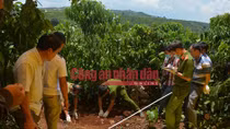 Chấn động: Ba bà cháu bị sát hại chôn xác phi tang