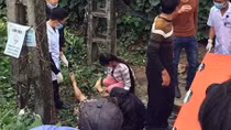 Điện giật trong lúc hái rau, người đàn ông chết thảm