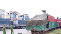Hàng đặc biệt của Nhà nước sẽ được bảo vệ vận chuyển như thế nào?