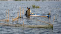 Mưu sinh mùa lũ