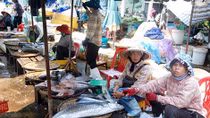 Cùng ngư dân miền Trung ra biển đón lộc đầu năm