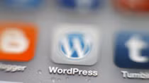 Chặn người dùng cập nhật WordPress, Apple phải xin lỗi