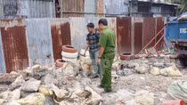 Để môi trường sống ngày càng trong lành hơn