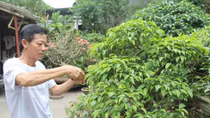 Vượt qua lầm lỗi, trở thành Phó Chủ tịch Ủy ban mặt trận Tổ quốc thị trấn