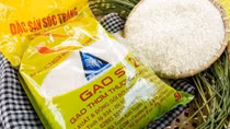 Thương vụ Việt Nam tại Australia quyết liệt vào cuộc vụ gạo ST24, ST25