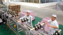 Tư vấn định giá doanh nghiệp lớn phải đấu giá công khai