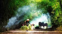 Miền Bắc hạ nhiệt nhẹ, ngày nắng nóng tối mưa giông