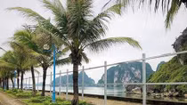 Quảng Ninh bác thông tin lấn biển mở rộng đường dọc bờ Vịnh Hạ Long