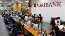 Agribank dành 5.000 tỷ đồng cho vay tiêu dùng góp phần đẩy lùi tín dụng đen