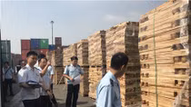 Khai báo gian lận để trốn thuế xuất nhập khẩu