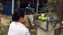 Mong được làm người bình thường