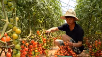 Bừng lên “ngọn lửa” khởi nghiệp