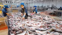 Người tiêu dùng vẫn e ngại trước hải sản sau sự cố Formosa