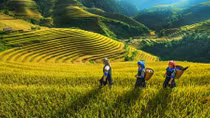 Bắc Bộ xuất hiện nắng nóng