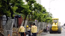 Hà Nội bảo vệ hàng cây sưa đỏ quý hiếm bằng "áo giáp sắt"