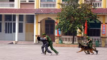 Hải Phòng diễn tập khu vực phòng thủ năm 2018