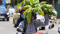 Bắc Bộ ngột ngạt trong nắng nóng, miền Trung có nơi trên 40 độ