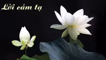 Lời cảm tạ của gia đình cụ Chu Thị Tý
