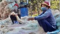 Bất ngờ sợi chuối